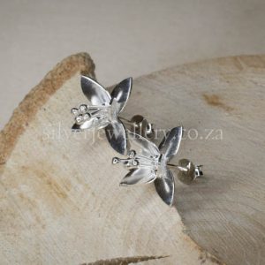 Summer Blossom